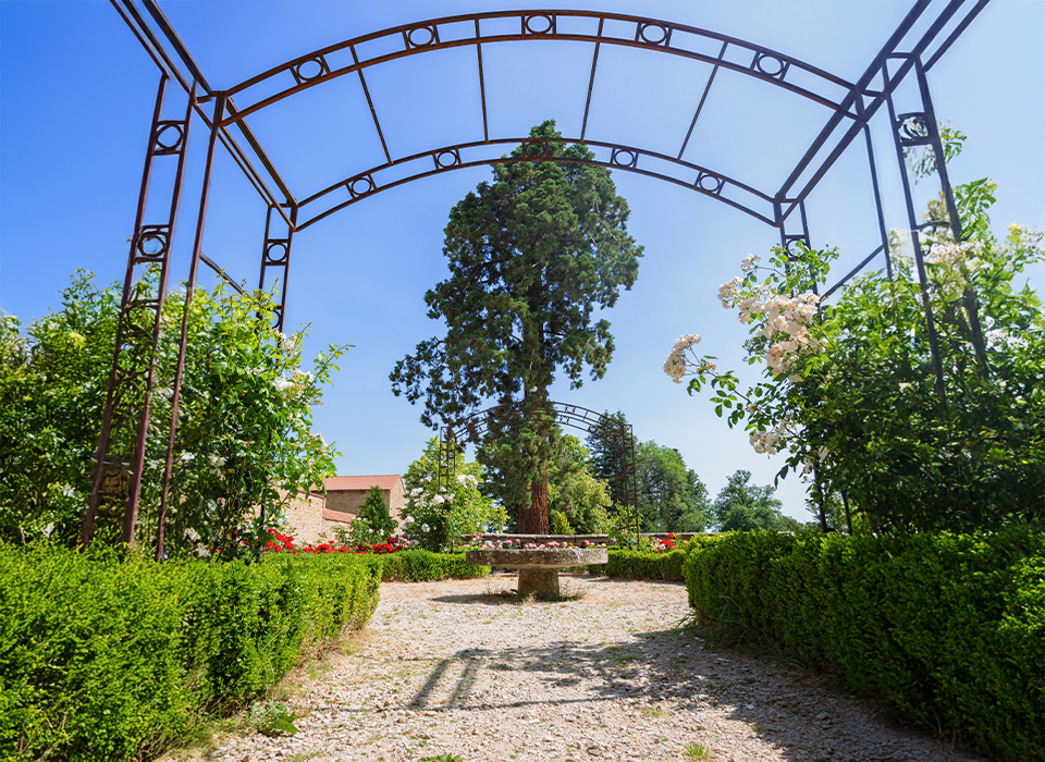 restaurant gastronomique autour de saint etienne - restaurant Marols - restaurant saint bonnet le chateau